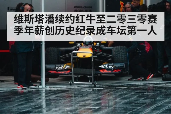 Red Bull Racing pit stop